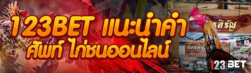 123bet แนะนำคำศัพท์ ไก่ชนออนไลน์